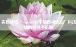 实操教程“wepoker能不能透视辅助”科技辅助神器手机版