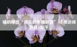 辅助神器“微乐胜率辅助器”(详细透视教程)-知乎