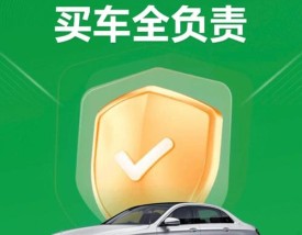 西安瓜子二手车直卖网,西安瓜子二手车门店