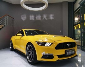 野马跑车官网,野马汽车官网首页