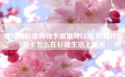 斯玛特杉德购物卡哪里可以用 斯玛特服务卡怎么在杉德生活上使用