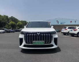 岚图汽车,岚图汽车商务车七座多少钱