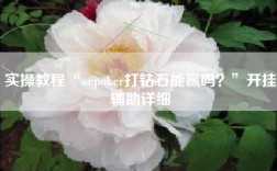 实操教程“wepoker打钻石能赢吗？”开挂辅助详细