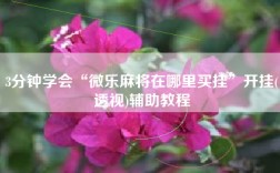 3分钟学会“微乐麻将在哪里买挂”开挂(透视)辅助教程