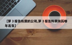 【萝卜报告陈震的公司,萝卜报告陈震简历哪年出生】