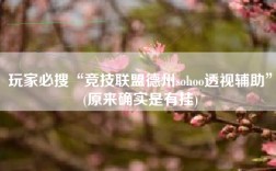 玩家必搜“竞技联盟德州sohoo透视辅助”(原来确实是有挂)