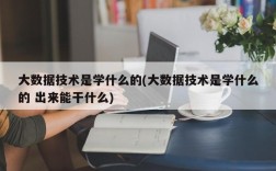 大数据技术是学什么的(大数据技术是学什么的 出来能干什么)
