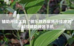 辅助开挂工具“微乐陕西麻将开挂神器”科技辅助神器手机