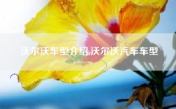 沃尔沃车型介绍,沃尔沃汽车车型