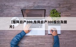 【东风日产300,东风日产300报价及图片】