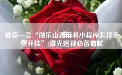 推荐一款“微乐山西麻将小程序怎样免费开挂”(曝光透视必备猫腻