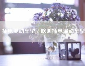 插电混动车型／啥叫插电混动车型