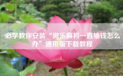 必学教你安装“微乐麻将一直输钱怎么办”通用版下载教程