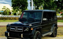 越野车大g(越野车大狗图片)