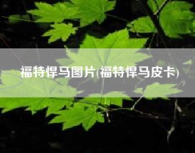 福特悍马图片(福特悍马皮卡)