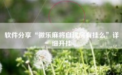 软件分享“微乐麻将自建房有挂么”详细开挂