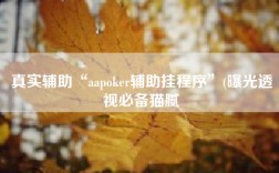 真实辅助“aapoker辅助挂程序”(曝光透视必备猫腻
