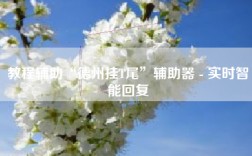 教程辅助“德州挂T尾”辅助器 - 实时智能回复