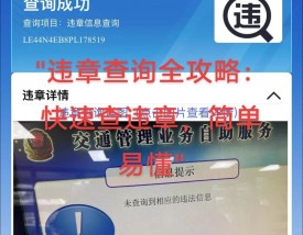 长春市机动车违章查询(长春市汽车违章查询)