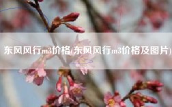 东风风行m3价格(东风风行m3价格及图片)