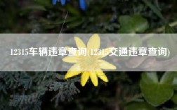 12315车辆违章查询(12315交通违章查询)