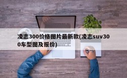 凌志300价格图片最新款(凌志suv300车型图及报价)