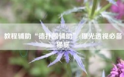 教程辅助“德扑圈辅助”(曝光透视必备猫腻