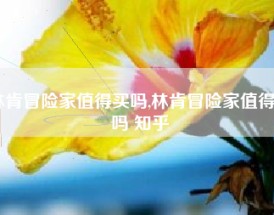 林肯冒险家值得买吗,林肯冒险家值得买吗 知乎