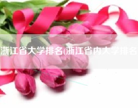 浙江省大学排名(浙江省内大学排名)