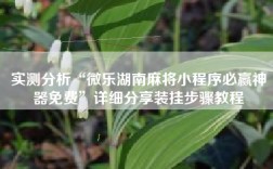 实测分析“微乐湖南麻将小程序必赢神器免费”详细分享装挂步骤教程