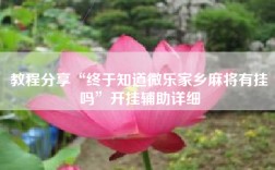 教程分享“终于知道微乐家乡麻将有挂吗”开挂辅助详细