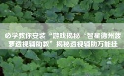 必学教你安装“游戏揭秘‘智星德州菠萝透视辅助教”揭秘透视辅助万能挂