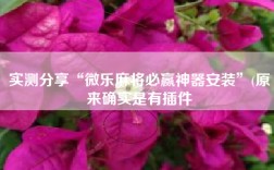 实测分享“微乐麻将必赢神器安装”(原来确实是有插件