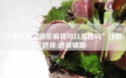分享实测“微乐麻将可以买挂吗”作弊(透视)透视辅助