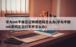 华为m6平板忘记锁屏密码怎么办(华为平板m6密码忘记打不开怎么办)