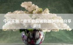 今日实测“微乐必赢辅助器”详细分享装挂