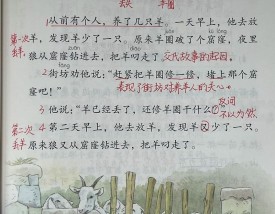 【羚羊的致命缺点,羚羊才是罪魁祸首】