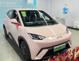 比亚迪纯电动车系列 比亚迪电动汽车系列