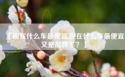 【现在什么车最便宜,现在什么车最便宜又是品牌车？】