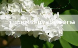 二手08款科帕奇怎样／08款科帕奇口碑