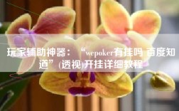 玩家辅助神器：“wepoker有挂吗 百度知道”(透视)开挂详细教程