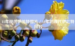 11年现代伊兰特图片／11年的现代伊兰特图片