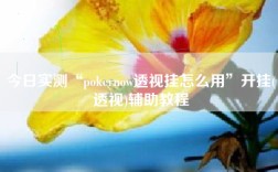 今日实测“pokernow透视挂怎么用”开挂(透视)辅助教程