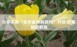 分享实测“全民雀神有挂吗”开挂(透视)辅助教程