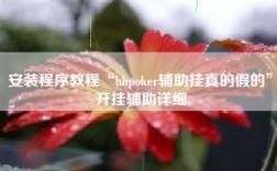 安装程序教程“hhpoker辅助挂真的假的”开挂辅助详细