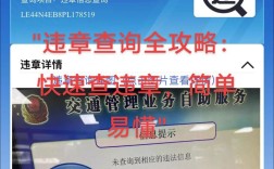 沈阳市违章查询,沈阳违章记录查询