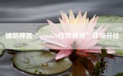 辅助神器“wepoker作弊视频”详细开挂