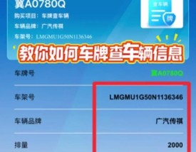 用车牌号码查车主电话(通过车牌号查询车主电话怎么查)