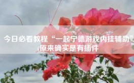 今日必看教程“一起宁德游戏内挂辅助”(原来确实是有插件