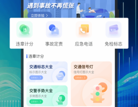 【河北公安交通违章查询网上查询,河北公安交通违章查询网上查询官网】